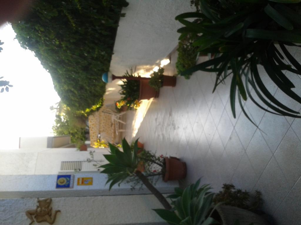 B&B Il Girasole 诺托 外观 照片