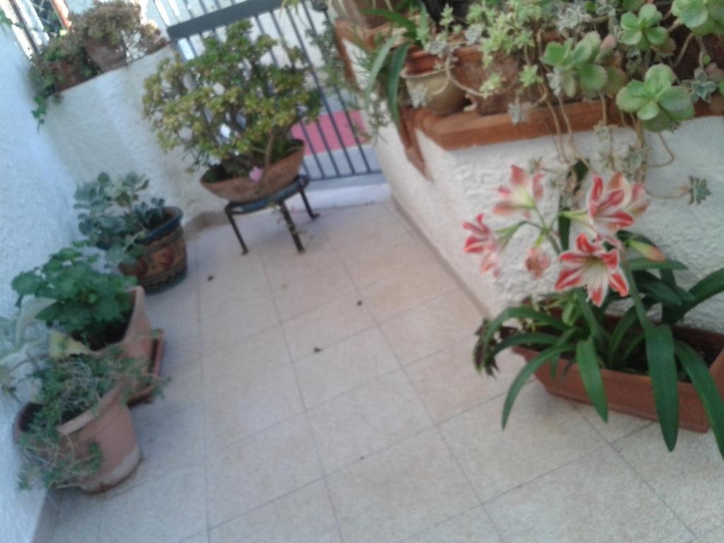 B&B Il Girasole 诺托 外观 照片