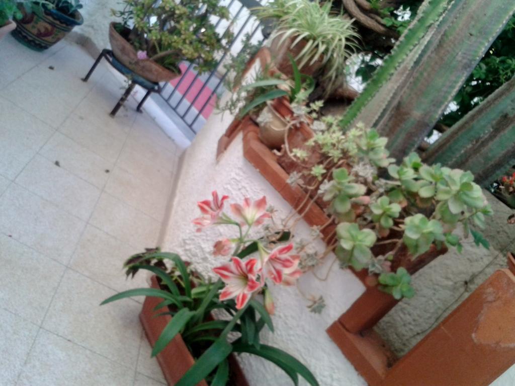 B&B Il Girasole 诺托 外观 照片
